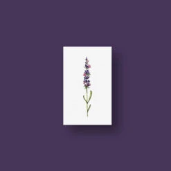 Lavender Temporary Tattoo By Lena Fedchenko (Set Of 3) 13 Lavender Temporary Tattoo By Lena Fedchenko (Set Of 3) -Da Vinci Shop 00 lavender top view b2dfbebe c832 4695 9c85 7299838be226