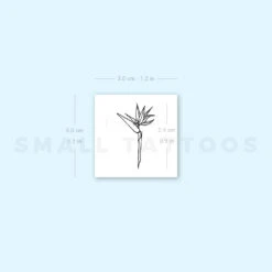Strelitzia Bird Of Paradise Temporary Tattoo (Set Of 3) -Da Vinci Shop 1657541279 image1 st 750px