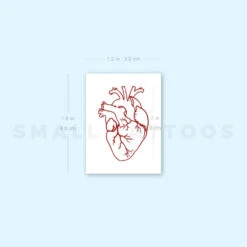 Red Ink Anatomical Heart Outline Temporary Tattoo (Set Of 3) -Da Vinci Shop 1657951471 image1 st 750px