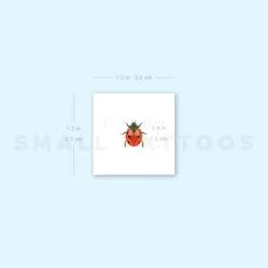 Ladybird Temporary Tattoo (Set Of 3) -Da Vinci Shop 1657951689 image1 st 750px