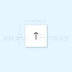 Tiwaz Rune Temporary Tattoo (Set Of 3) -Da Vinci Shop 1657960509 image1 st 750px