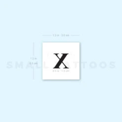 Madonna X Letter Temporary Tattoo (Set Of 3) -Da Vinci Shop 1657962911 image1 st 750px