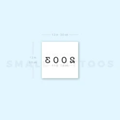 2003 Birth Year Temporary Tattoo (Set Of 3) -Da Vinci Shop 1657965470 image1 st 750px