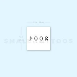 2004 Birth Year Temporary Tattoo (Set Of 3) -Da Vinci Shop 1657965489 image1 st 750px
