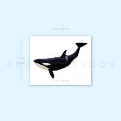 Killer Whale Temporary Tattoo - Set Of 3 9 Killer Whale Temporary Tattoo - Set Of 3 -Da Vinci Shop 1661585109 image1 st 750px