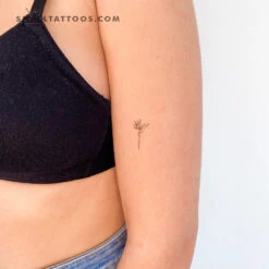 Strelitzia Bird Of Paradise Temporary Tattoo (Set Of 3) -Da Vinci Shop 1691412874764