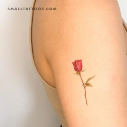 Garnet Rose Temporary Tattoo By Mini Lau (Set Of 3)