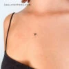 Small Bee Temporary Tattoo (Set Of 3) -Da Vinci Shop 1692884101969