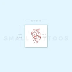 Small Red Anatomical Heart Temporary Tattoo (Set Of 3) -Da Vinci Shop 1693055137 image1 st 750px