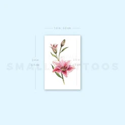 Lily Stargazer Temporary Tattoo By Lena Fedchenko (Set Of 3) -Da Vinci Shop 1693058658 image1 st 750px
