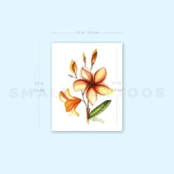 Plumeria Temporary Tattoo By Lena Fedchenko (Set Of 3) -Da Vinci Shop 1694185818 image1 st 750px