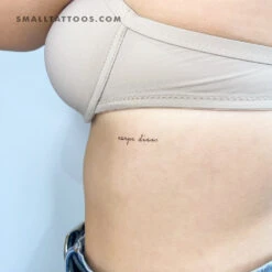 Carpe Diem Temporary Tattoo (Set Of 3) -Da Vinci Shop 1695065527546