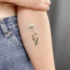 Daisy Temporary Tattoo By Lena Fedchenko (Set Of 3) -Da Vinci Shop 1698060519246