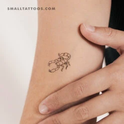Fine Line Scorpion Temporary Tattoo (Set Of 3) -Da Vinci Shop 1700462877986