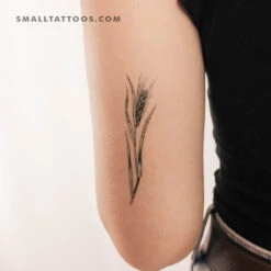 Green Wheat By Ann Lilya Temporary Tattoo (Set Of 3)