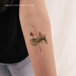 Wild Strawberries By Ann Lilya Temporary Tattoo (Set Of 3)