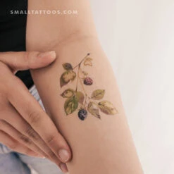 Rasperry By Ann Lilya Temporary Tattoo (Set Of 3)