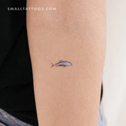 Small Dolphin By Ann Lilya Temporary Tattoo (Set Of 3)