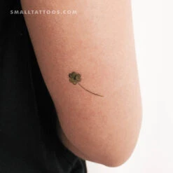 Small Clover By Ann Lilya Temporary Tattoo (Set Of 3) -Da Vinci Shop 1711386227110