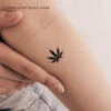 Marijuana Leaf Temporary Tattoo (Set Of 3)