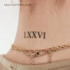 LXXVI Temporary Tattoo (Set Of 3) -Da Vinci Shop 1714243421502