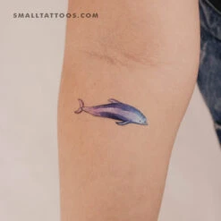 Dolphin By Ann Lilya Temporary Tattoo (Set Of 3)
