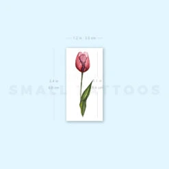Tulip Temporary Tattoo By Lena Fedchenko (Set Of 3) -Da Vinci Shop 1718194038 image1 st 750px