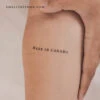 Made In Canada Temporary Tattoo - Set Of 3 -Da Vinci Shop 1718638544109