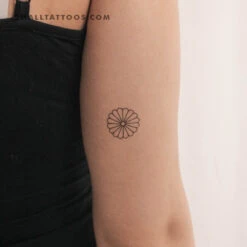 Minimalist Chrysanthemum Temporary Tattoo (Set Of 3)