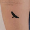 Eagle Temporary Tattoo (Set Of 3) -Da Vinci Shop 1718641524459