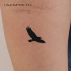 Eagle Temporary Tattoo (Set Of 3)