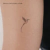 Long-tailed Sylph Hummingbird Temporary Tattoo (Set Of 3) -Da Vinci Shop 1719649324501