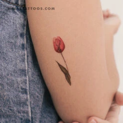Tulip Temporary Tattoo By Lena Fedchenko (Set Of 3)