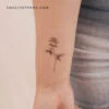 Illustrative Rose Temporary Tattoo (Set Of 3) -Da Vinci Shop 1726577590273