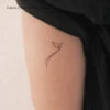 Minimalist Long Tailed Hummingbird Temporary Tattoo (Set Of 3) -Da Vinci Shop 1727181416626