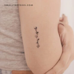 Cotton Stem Temporary Tattoo (Set Of 3)