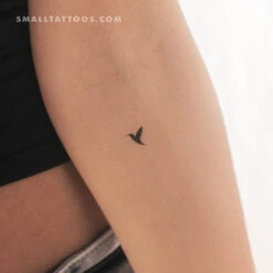 Small Hummingbird Temporary Tattoo (Set Of 3)