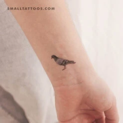 Rock Pigeon Temporary Tattoo (Set Of 3)