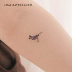 Blue Jay Temporary Tattoo (Set Of 3)