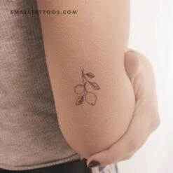 Lemon Branch Temporary Tattoo (Set Of 3)