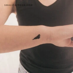 Walrus Temporary Tattoo (Set Of 3)