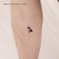 Puffin Temporary Tattoo (Set Of 3)