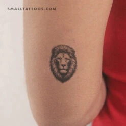 Black And Grey Lion Portrait Temporary Tattoo (Set Of 3)