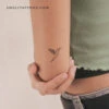 Fine Line Hummingbird Temporary Tattoo (Set Of 3) -Da Vinci Shop 1736879444532