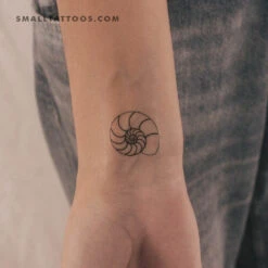 Ammonite Shell Temporary Tattoo (Set Of 3)