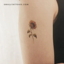 Sunflower Temporary Tattoo By Lena Fedchenko (Set Of 3) -Da Vinci Shop 1739888834801