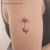 Red Spider Lily Temporary Tattoo By Zihee (Set Of 3) -Da Vinci Shop 174067624462