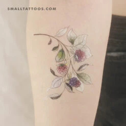 Raspberry Branch By Ann Lilya Temporary Tattoo (Set Of 3)