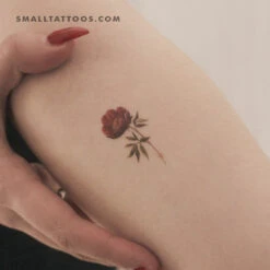 Garnet Peony Temporary Tattoo (Set Of 3) -Da Vinci Shop 174231538939