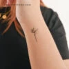 Strelitzia Bird Of Paradise Temporary Tattoo (Set Of 3) -Da Vinci Shop 1744825208979